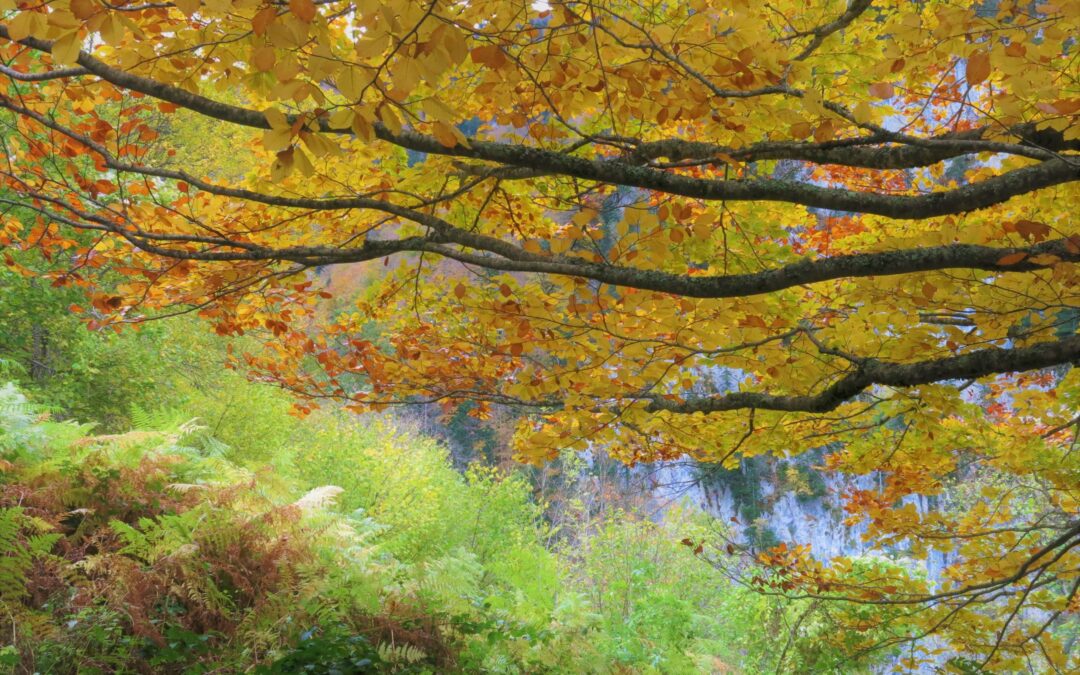 EQUINOCCIO DE OTOÑO 2024