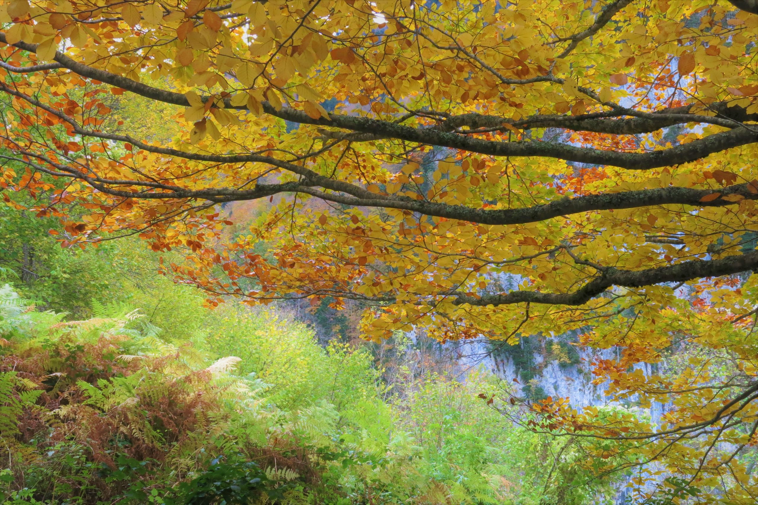 Chemin de la Mature (20)